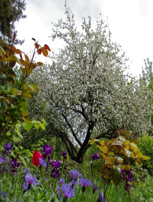 Le Grand Jardin Bed and Breakfast Μπον Εξωτερικό φωτογραφία
